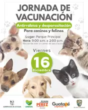 Participa de la última jornada  de vacunación antirrábica y  desparasitación para caninos y  felinos. 
