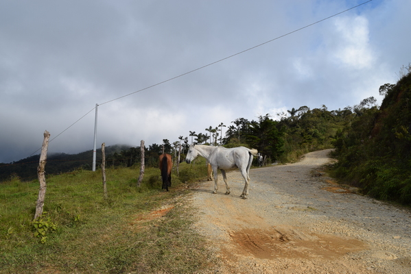Continuará el mejoramiento de vías en la zona rural del Municipio de Guatapé